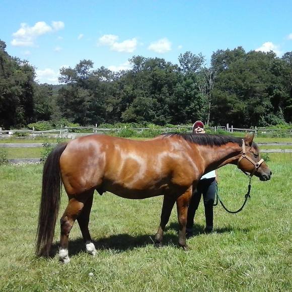 Meet your Posher, Karena - Picture 1 of 1